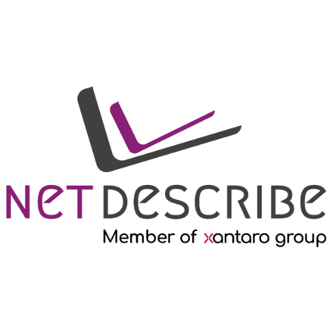 NetDescribe GmbH logo